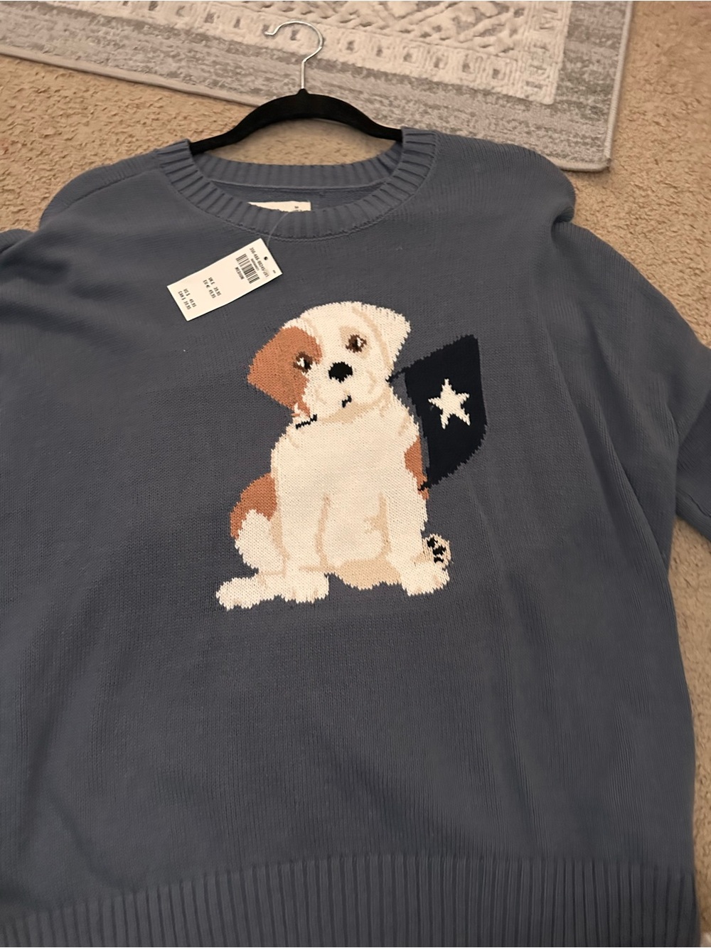 Hollister Blue Puppy Graphic Sweater with Navy Star Patch